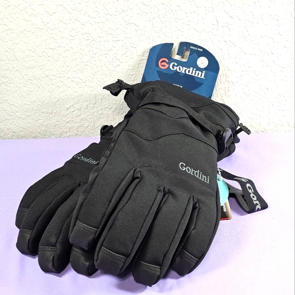 Gordini 4G2189 Men's Fall Line Iv Waterproof Insulated Gloves XL - Picture 1 of 7